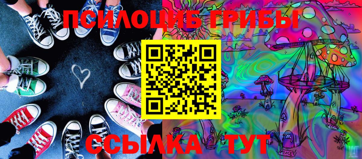 Псилоцибиновые грибы Cubensis Южно-Сахалинск